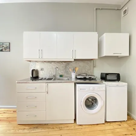 Flat With Balcony Near Flower Passage In Beyoglu Διαμέρισμα