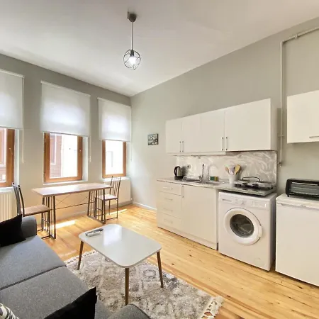 Flat With Balcony Near Flower Passage In Beyoglu